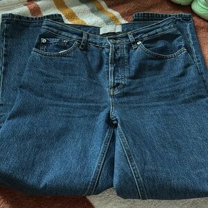 Everlane “The 90’s cheeky Jean size 26 Regular